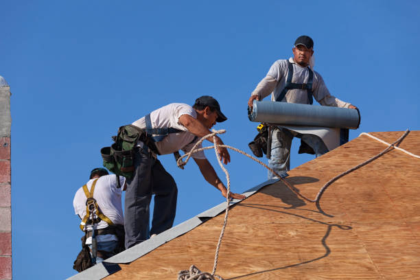 Best Emergency Roof Repair  in Newport, OH